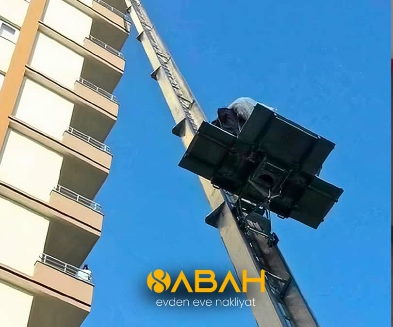 Image hover effect image